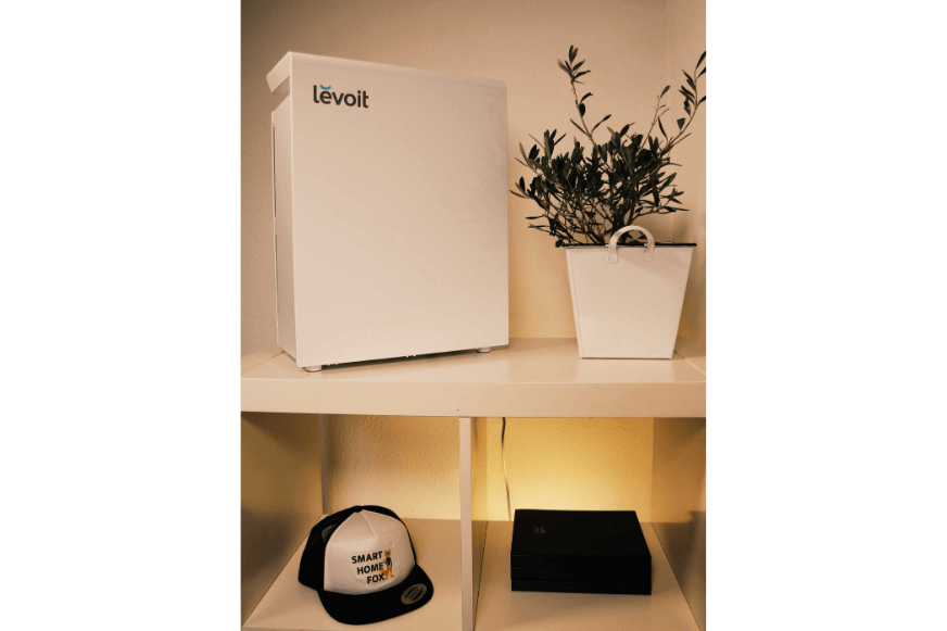 Der Levoit Luftreiniger steht auf einem Regal neben einer Pflanze